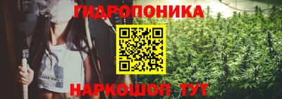 прущие грибы Бердск