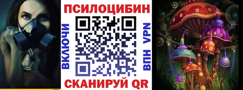 Псилоцибиновые грибы GOLDEN TEACHER  магазин продажи наркотиков  Бердск 