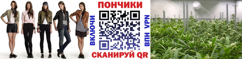 купить наркоту  Бердск  Марихуана Ganja 